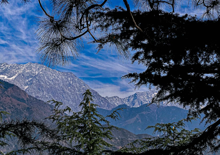 Resident Pahari Insights